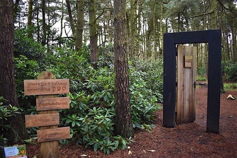 Darwin Forest woodland trail